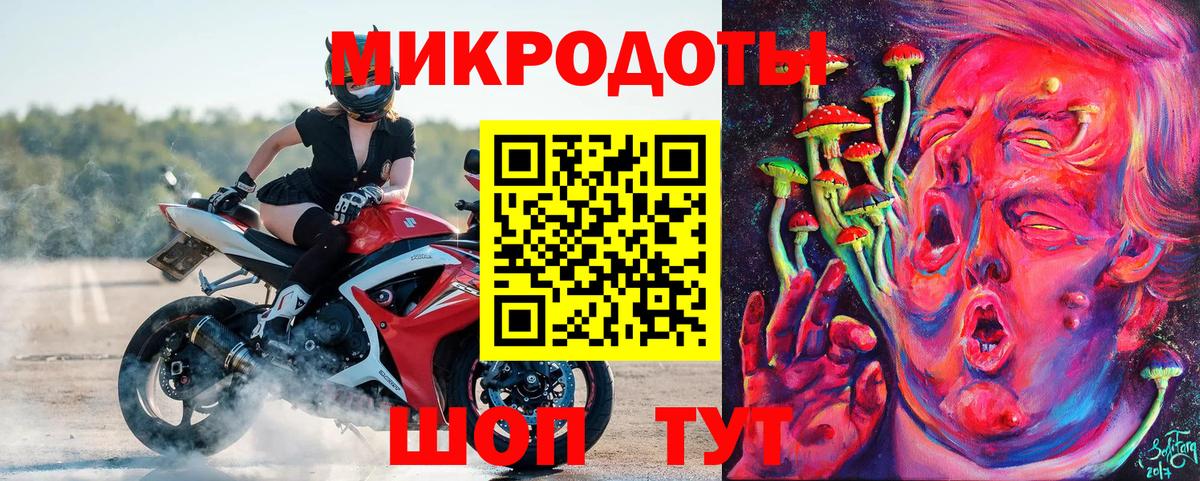 Галлюциногенные грибы Psilocybine cubensis Ахтубинск